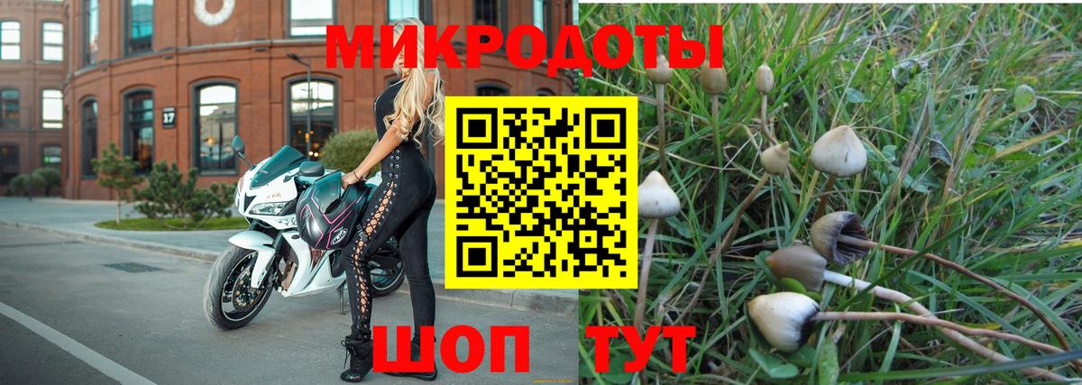 Галлюциногенные грибы мицелий Когалым
