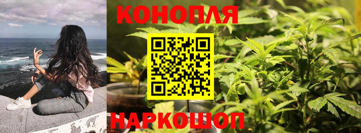 Марихуана MAZAR  Вход с VPN  Каннабис конопля  Шишки марихуана план  Когалым 