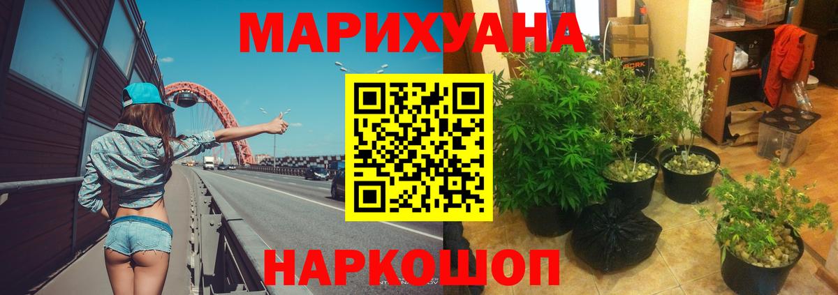 Каннабис сатива Когалым